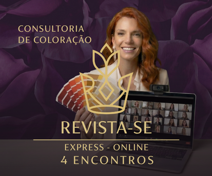 Consultoria Online 4 Encontros